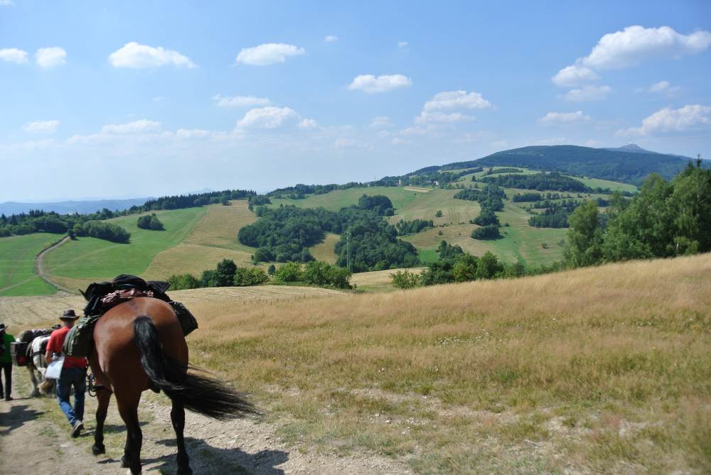 Go to Poland : 03 août 2015