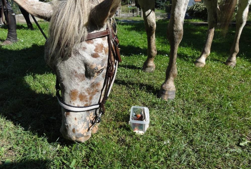 Geocaching