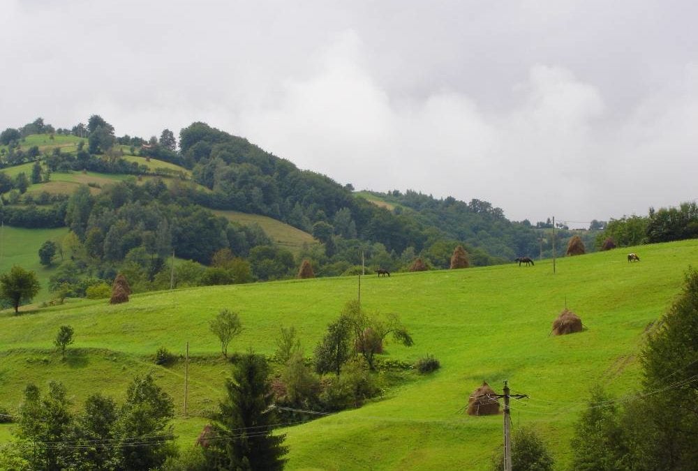 La Roumanie